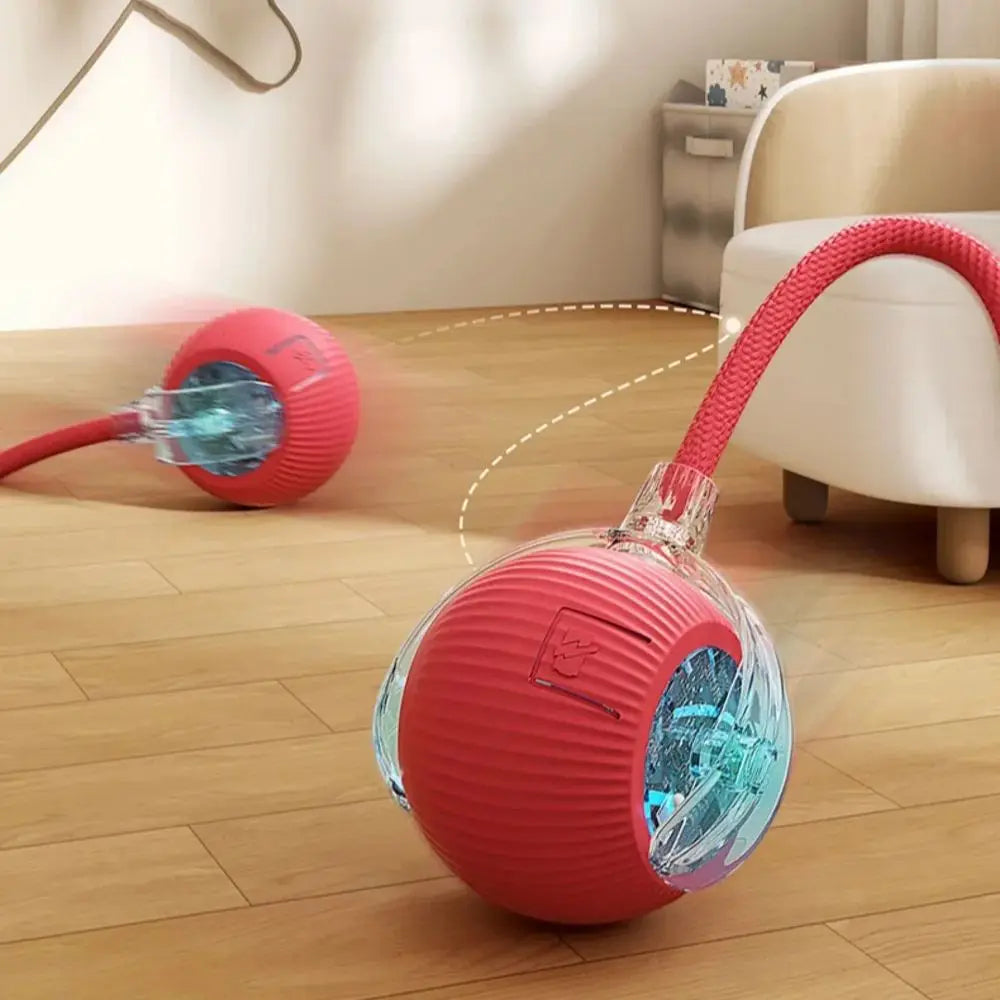 Rechargeable Cat & Dog Interactive Bal