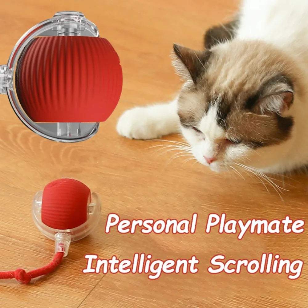 Rechargeable Cat & Dog Interactive Bal