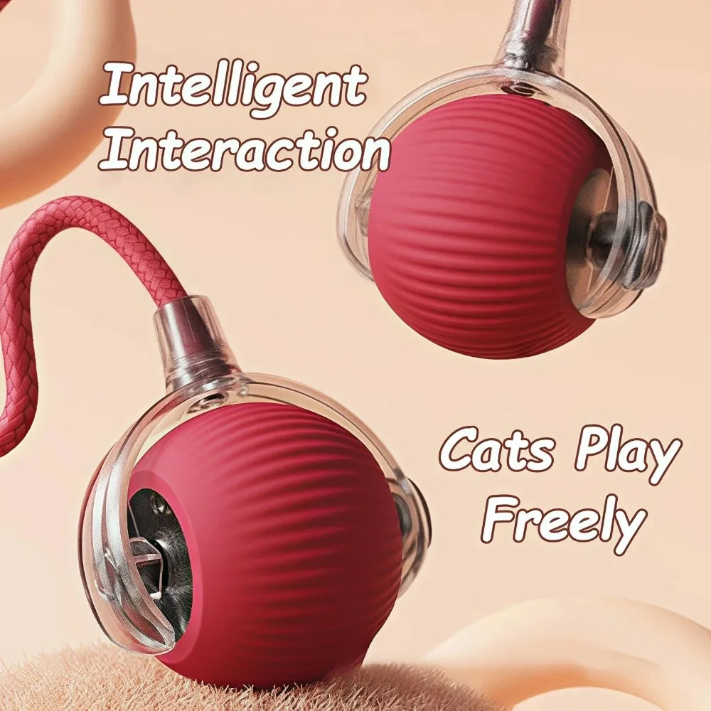 Rechargeable Cat & Dog Interactive Bal