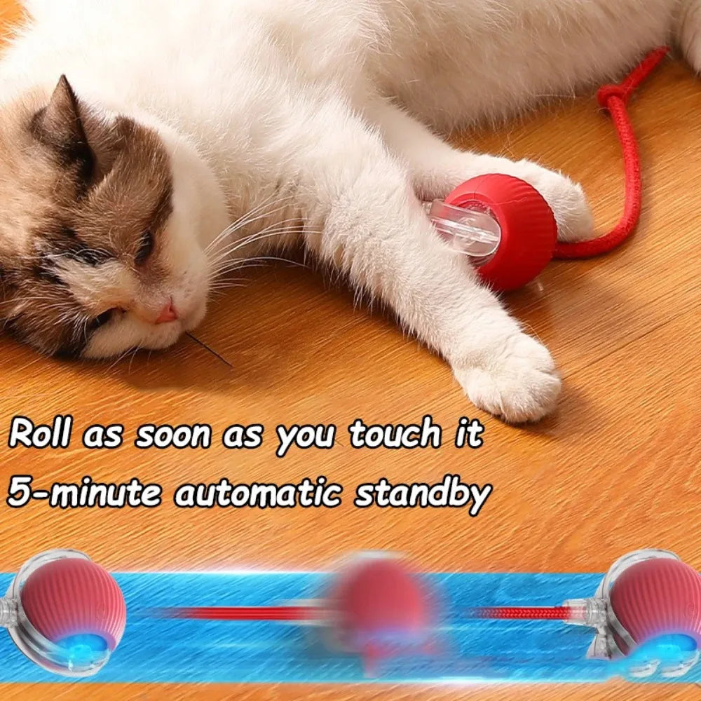 Rechargeable Cat & Dog Interactive Bal